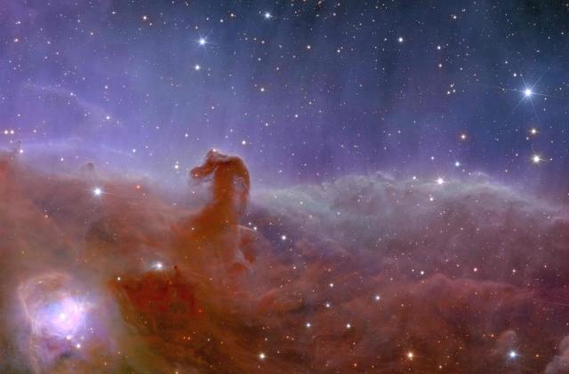 Euclid spacecraft's view of the Horsehead nebula