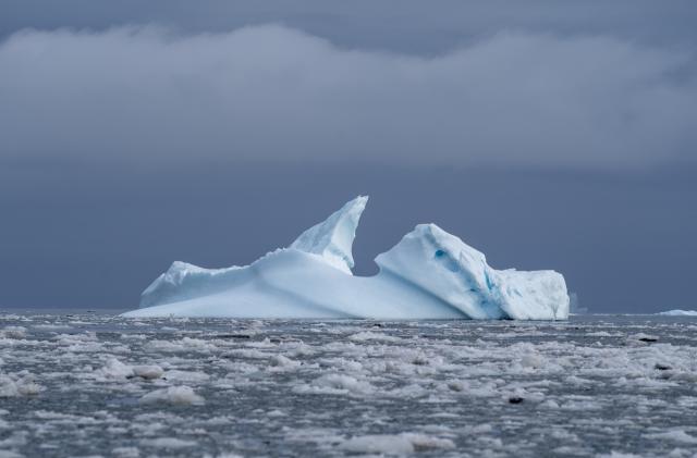 An iceberg floats in the Scoresby Sund, Thursday, Sept. 7, 2023, in Greenland. (AP Photo/Chris Szagola)